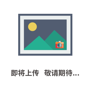 Mersen熔斷器PC94UD15C19CTD Q221596